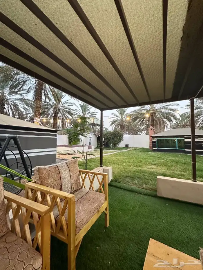 مخيم ريفي بين النخيل  قريب للبلد 0