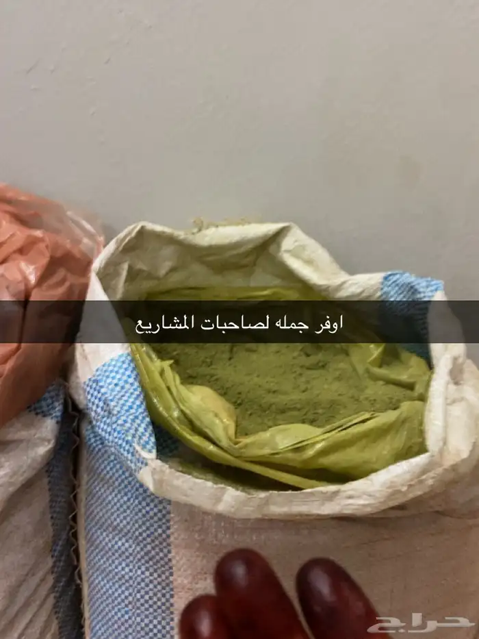 حنا المدينه ومشاط الشعر للتواصل   ايمان 1