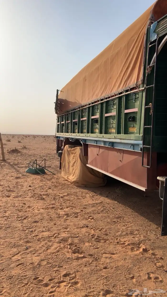صندوق لوري سقس 0