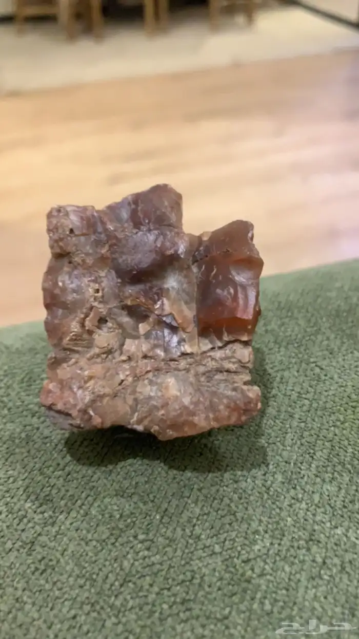 تحف من الطبيعه 2