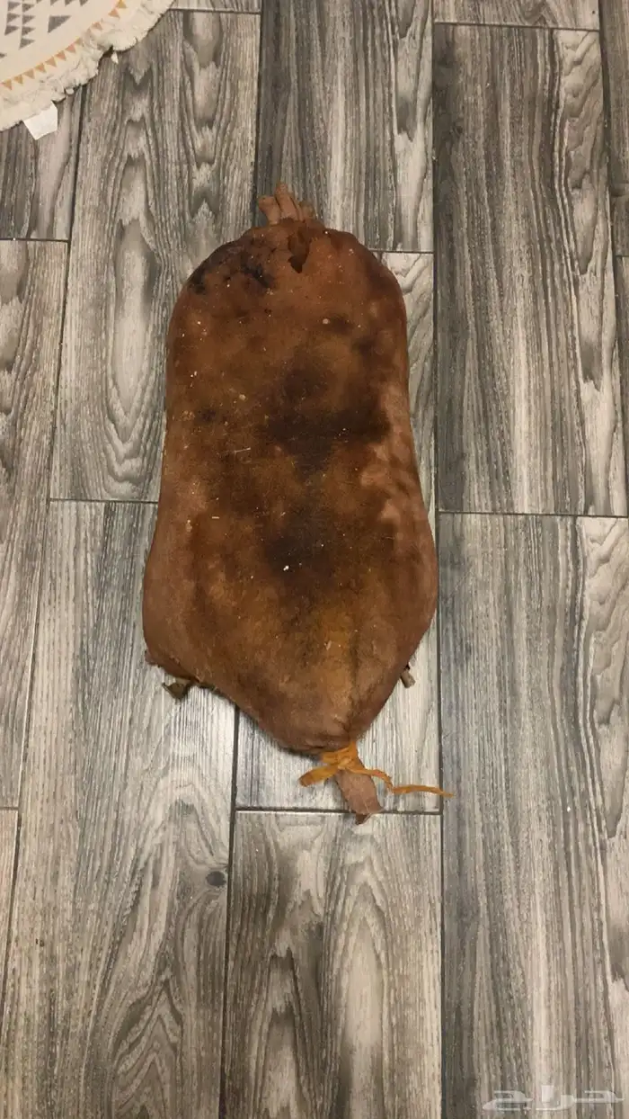 تمر صفري الشنان شنه للبيع 1