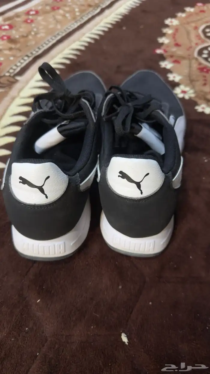 جزمة أو شوز puma 0