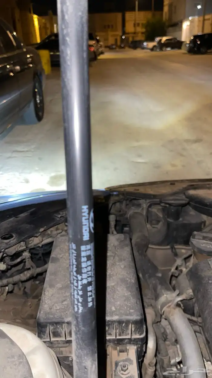 جينسس كوبيه 2013 52