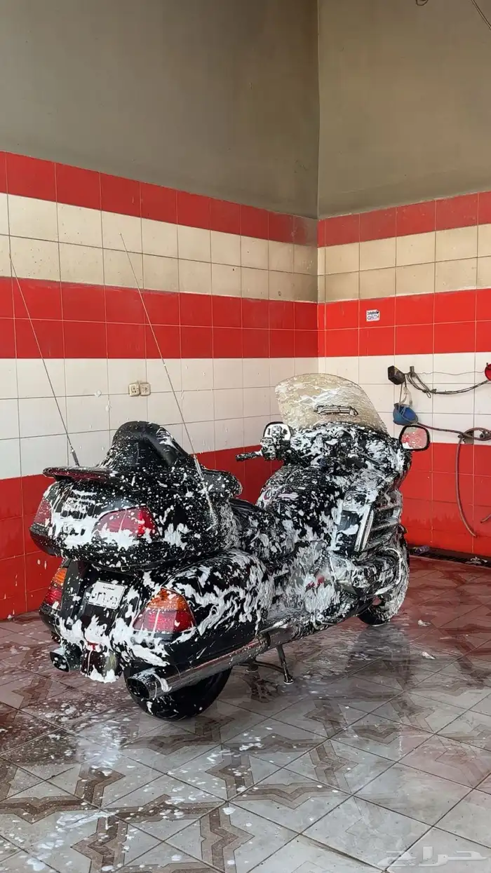 دباب 1