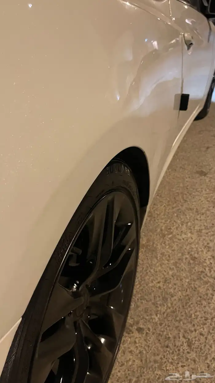 جينسس كوبيه 2013 37