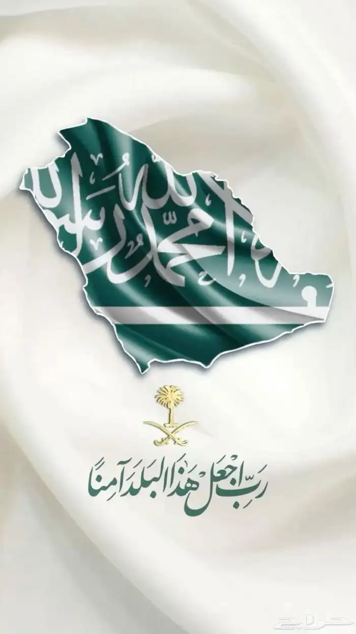 توصيل الدوادمي 0