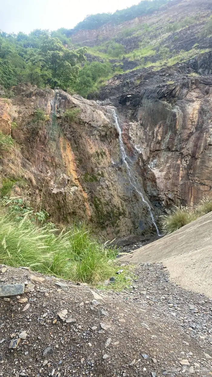 عسل طلح طبيعي 2025 3