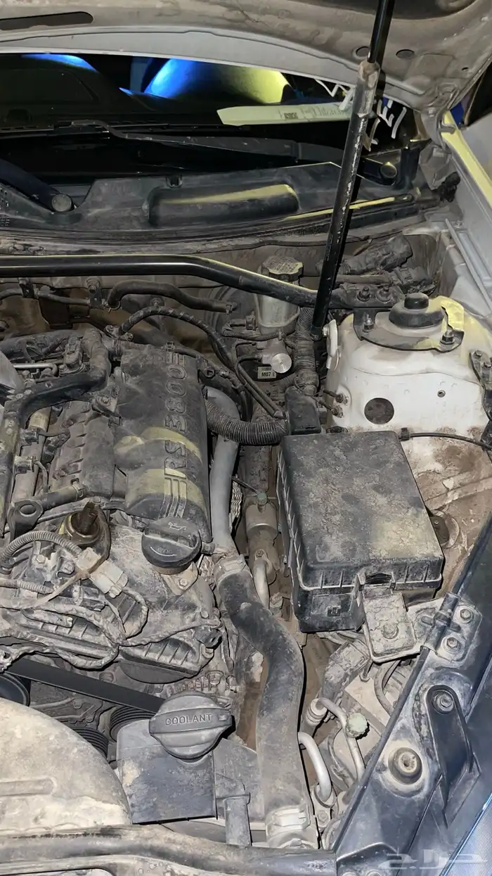 جينسس كوبيه 2013 50