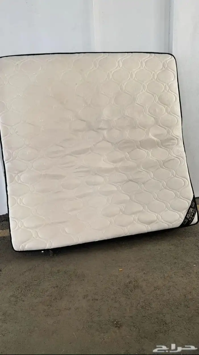 إسفنجه نفرين ب لبادها لتواصل 0