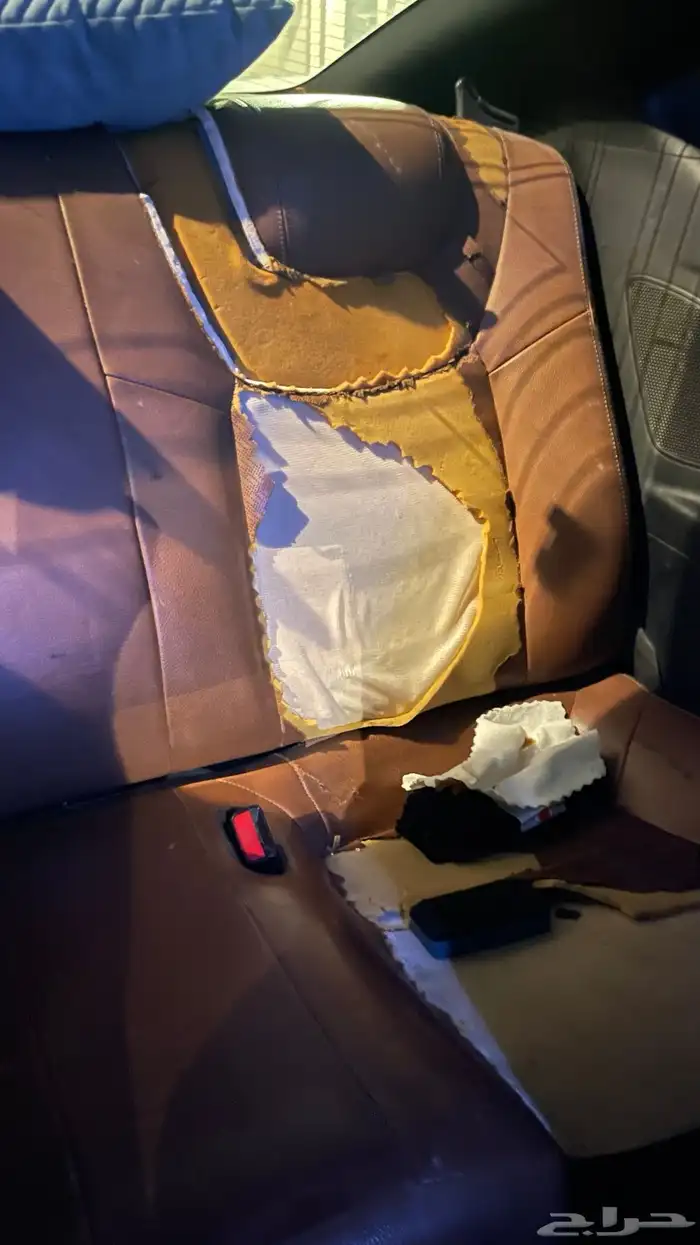 جينسس كوبيه 2013 44