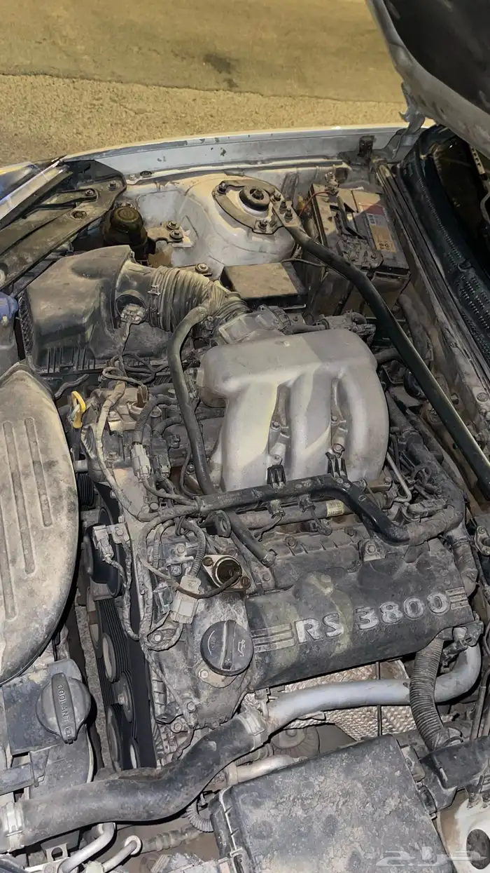 جينسس كوبيه 2013 51