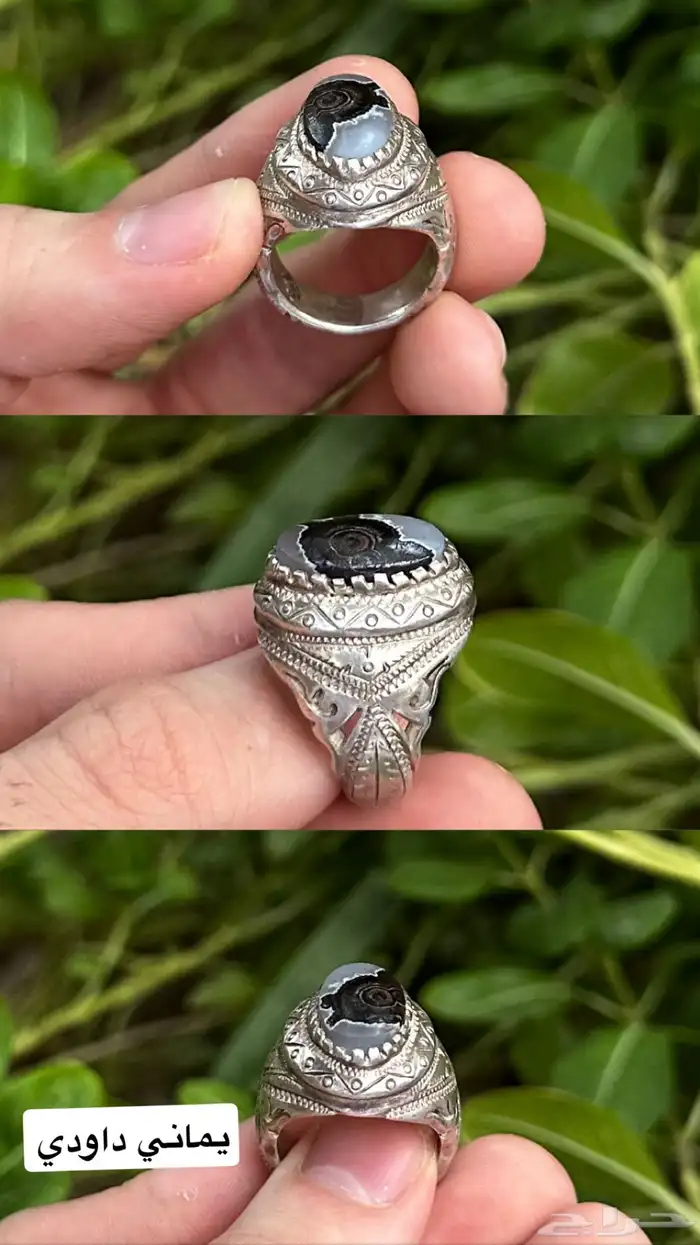 خاتم يماني دودي عين الذيب 0