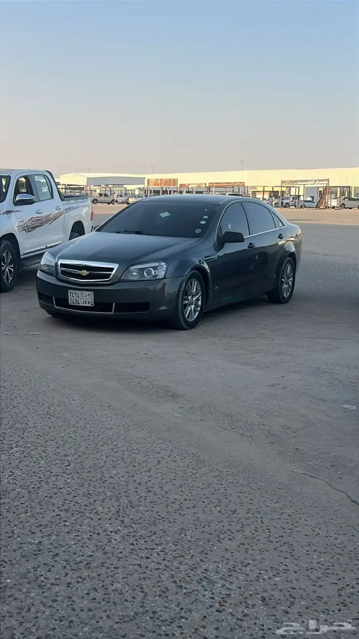 كابرس 2012 3