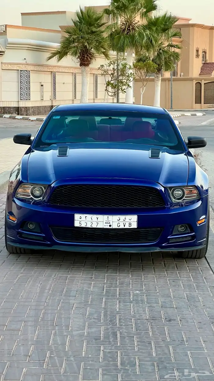موستنج 2013 8