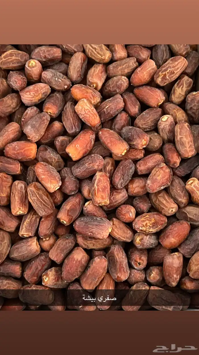 تمر للبيع للكبس ( المصانع ) 3