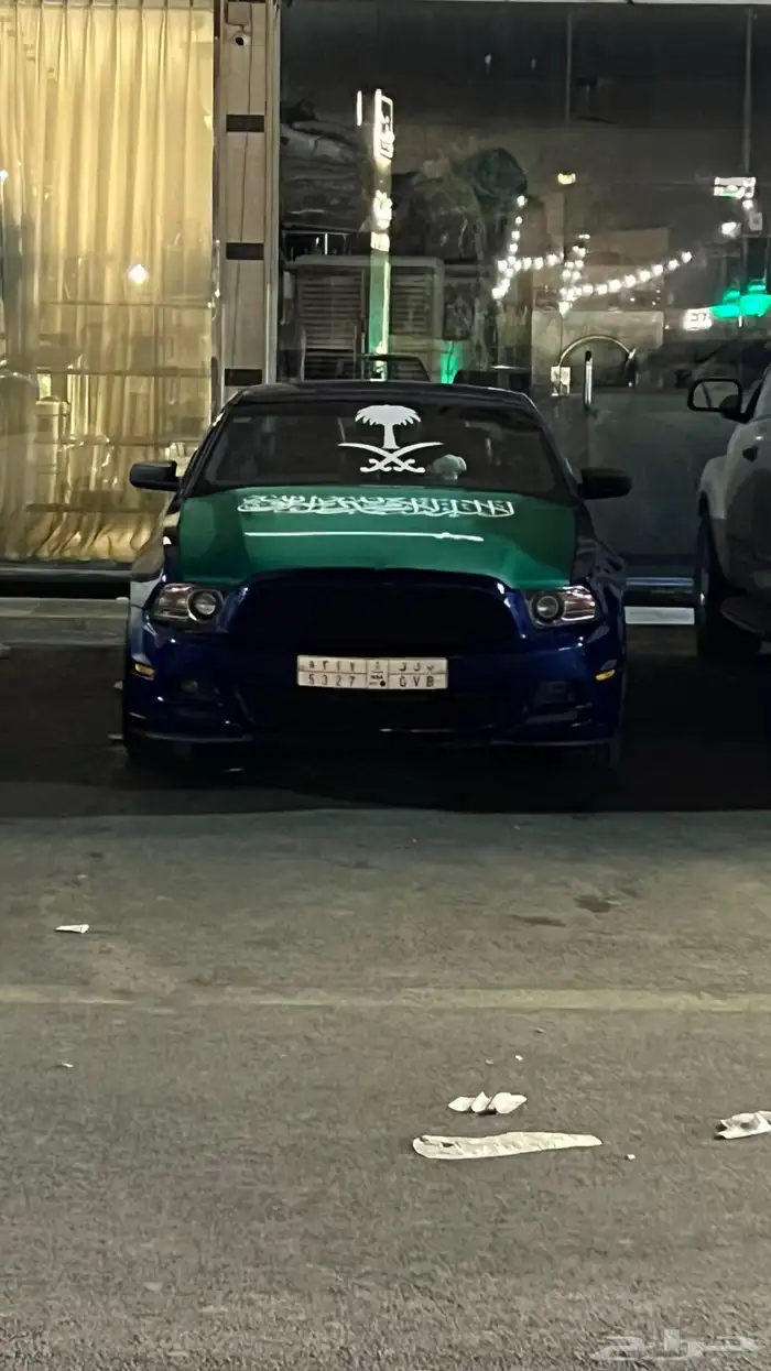 موستنج 2013 1