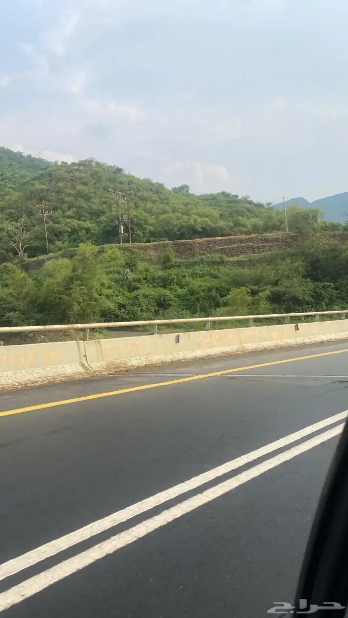 عسل طلح طبيعي 2025 4