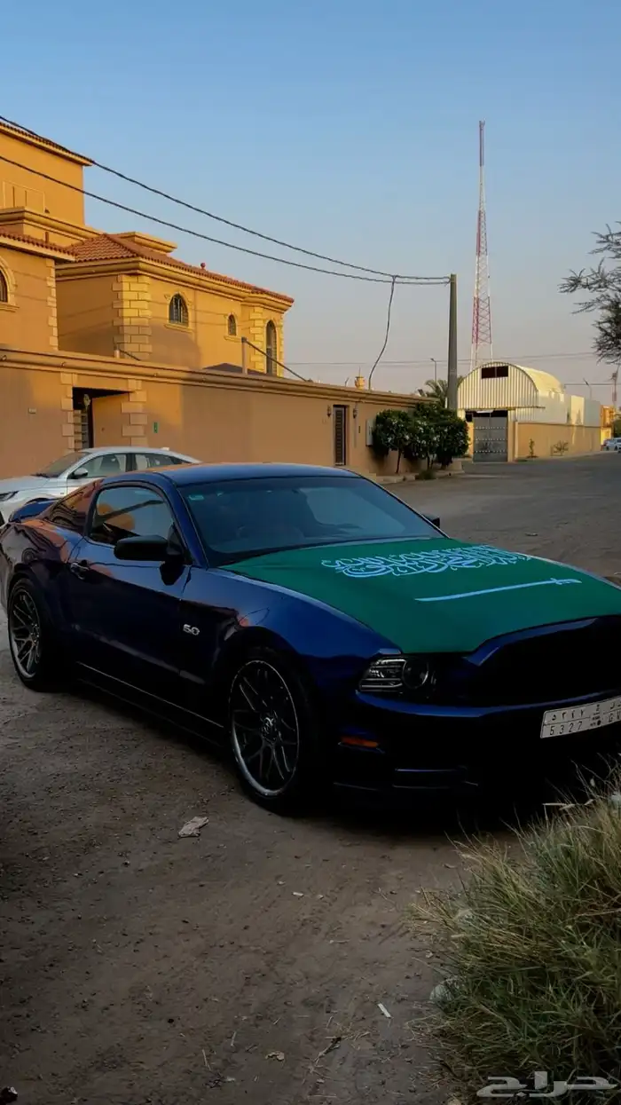 موستنج 2013 0