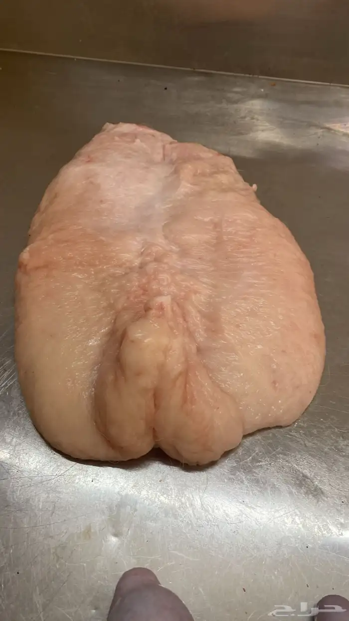 طليان حريه ذبايح طيبه 1