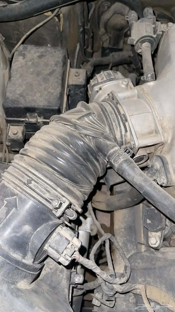 جينسس كوبيه 2013 53