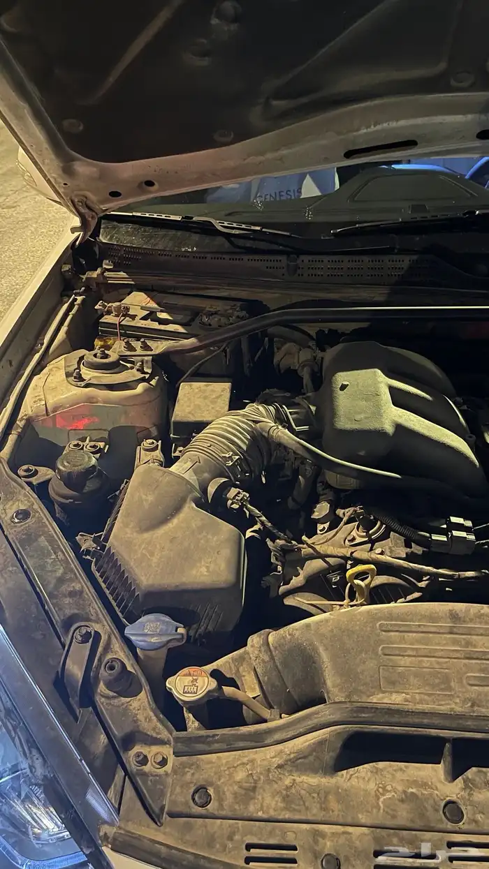 جينسس كوبيه 2013 48