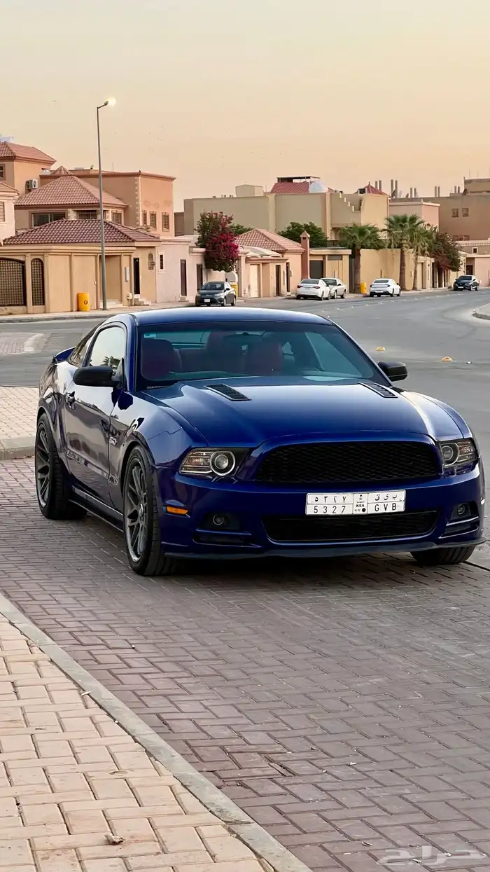 موستنج 2013 7
