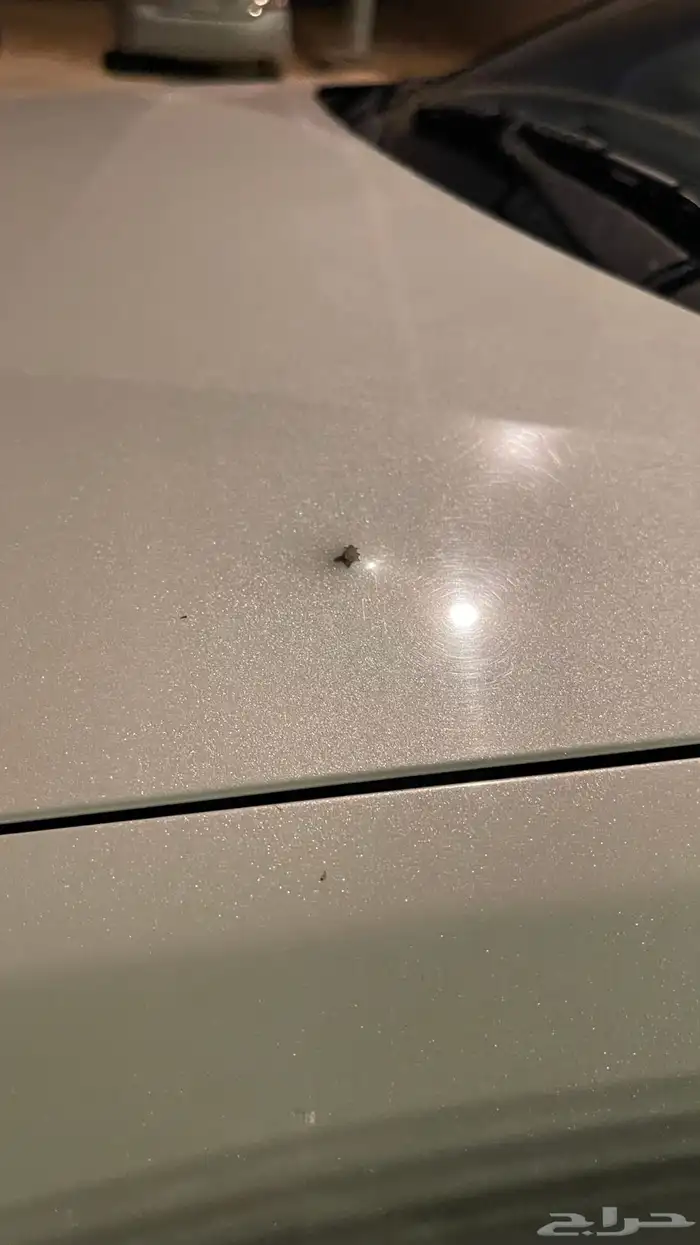 جينسس كوبيه 2013 54