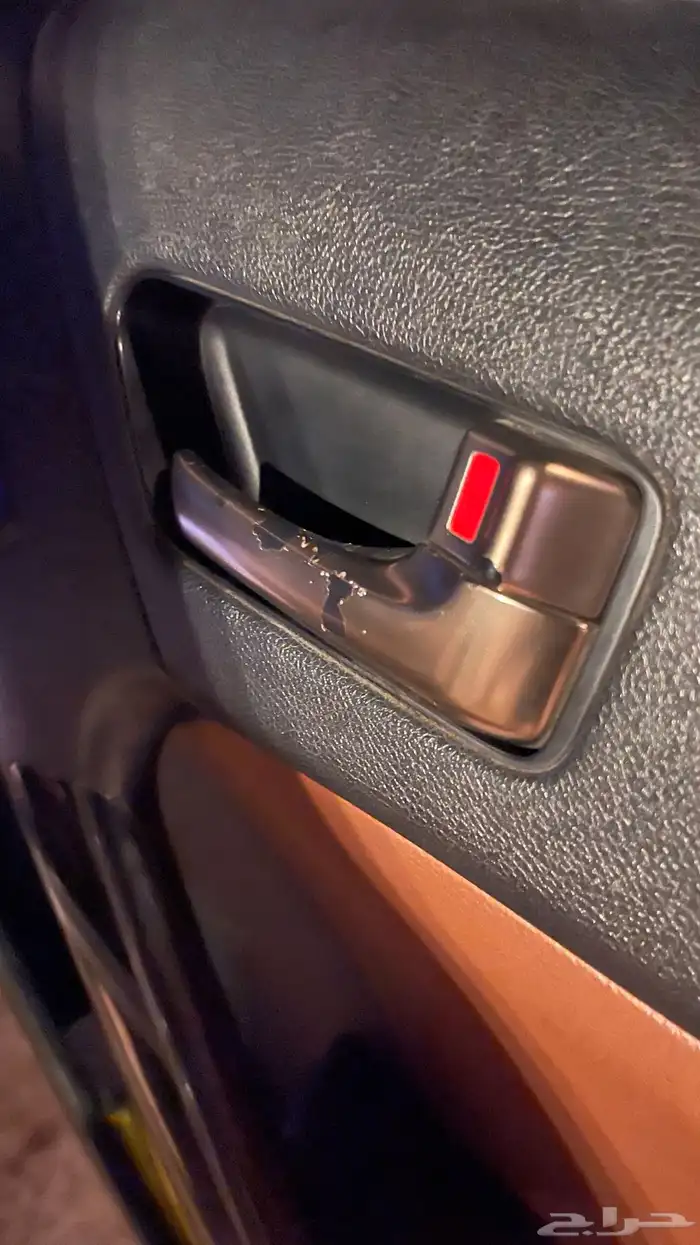 جينسس كوبيه 2013 39