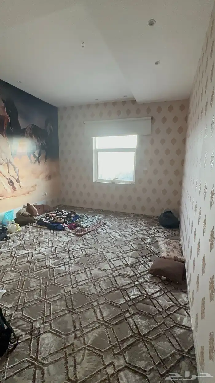 شقة بحي الورود 6 غرف مساحة 230 للإيجار 65 ألف 10