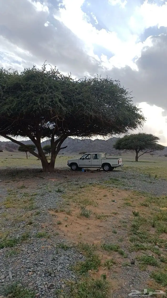 ددسن88 مسقطه 1