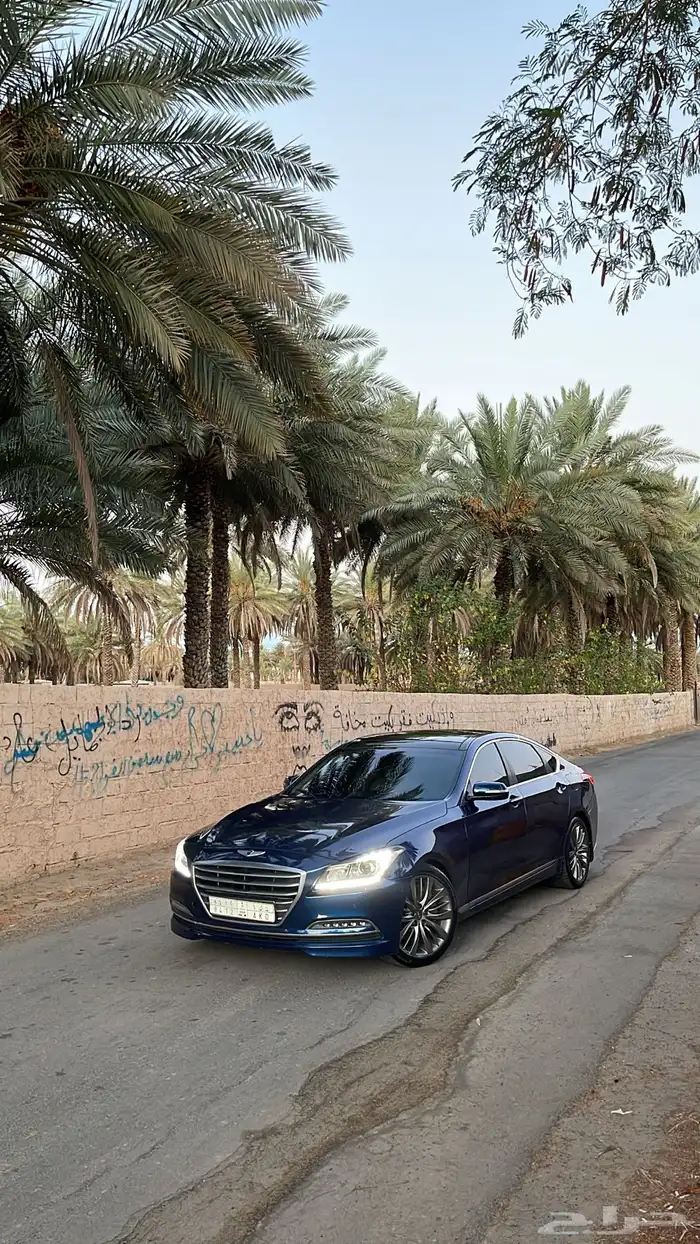 جينس 0