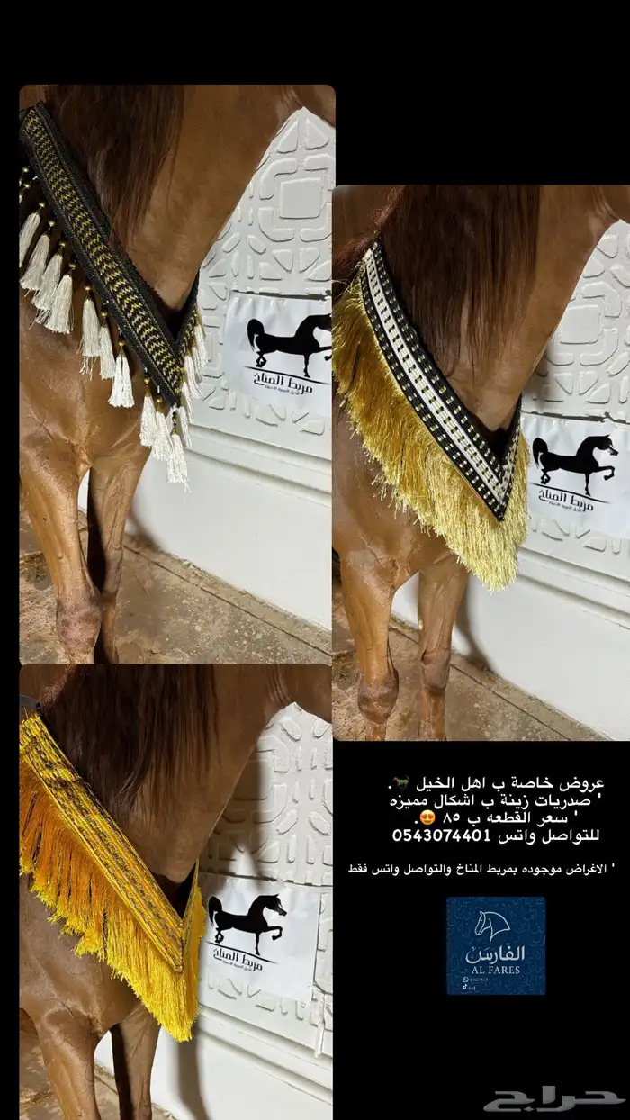 عروض لزينة الخيل 1