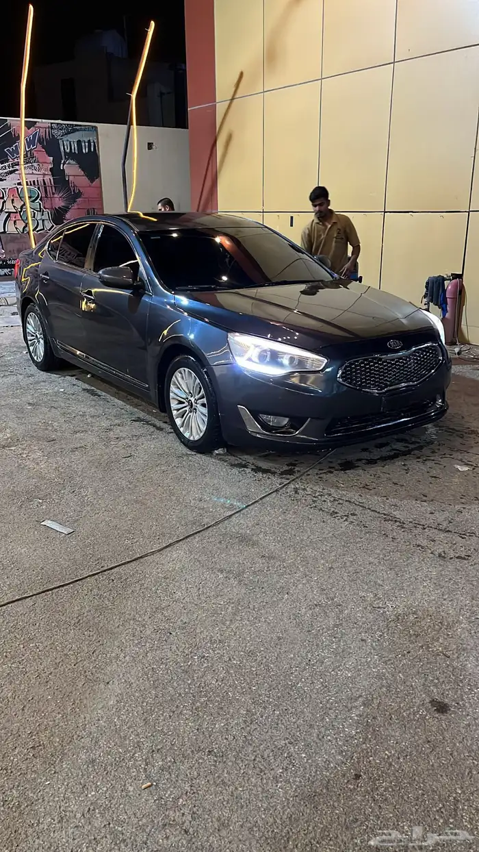 كادينزا 2014 0