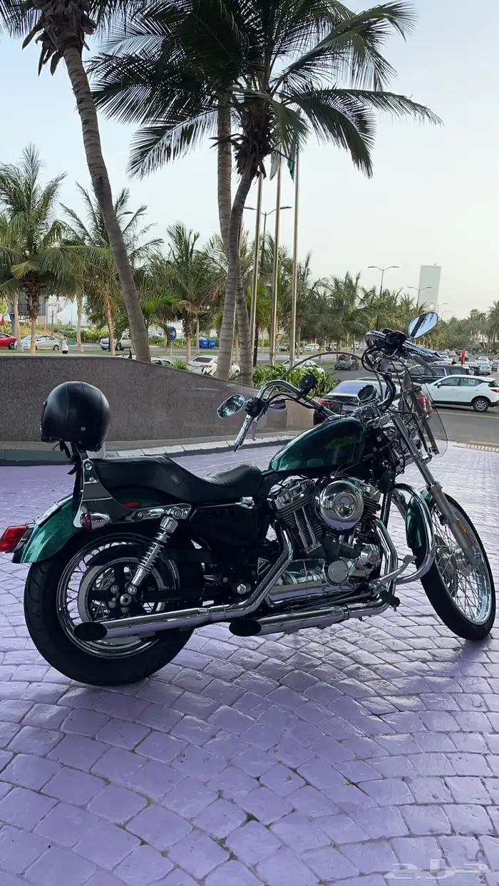 هارلي سبوستر اصدار نادر 72   1200cc 3