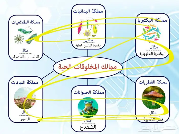 مطويات للمرحلة الابتدائيه 1