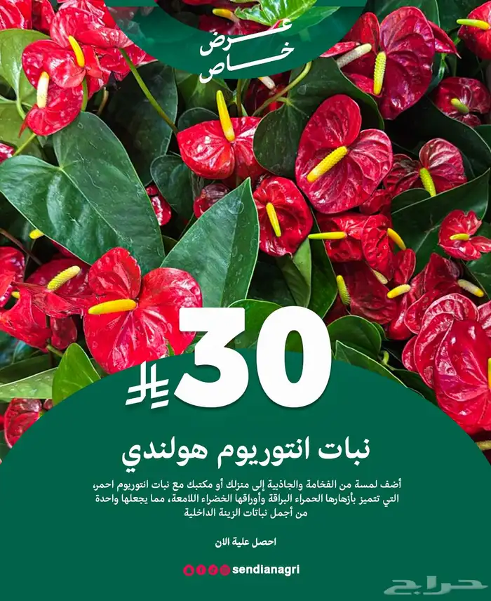 مصمم جرافيك 25