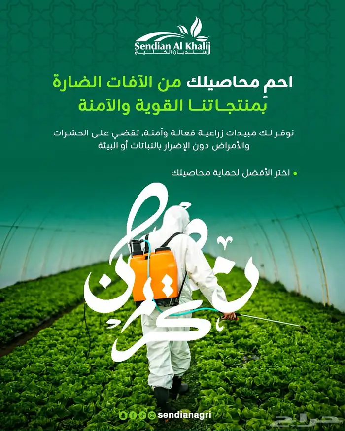 مصمم جرافيك 24