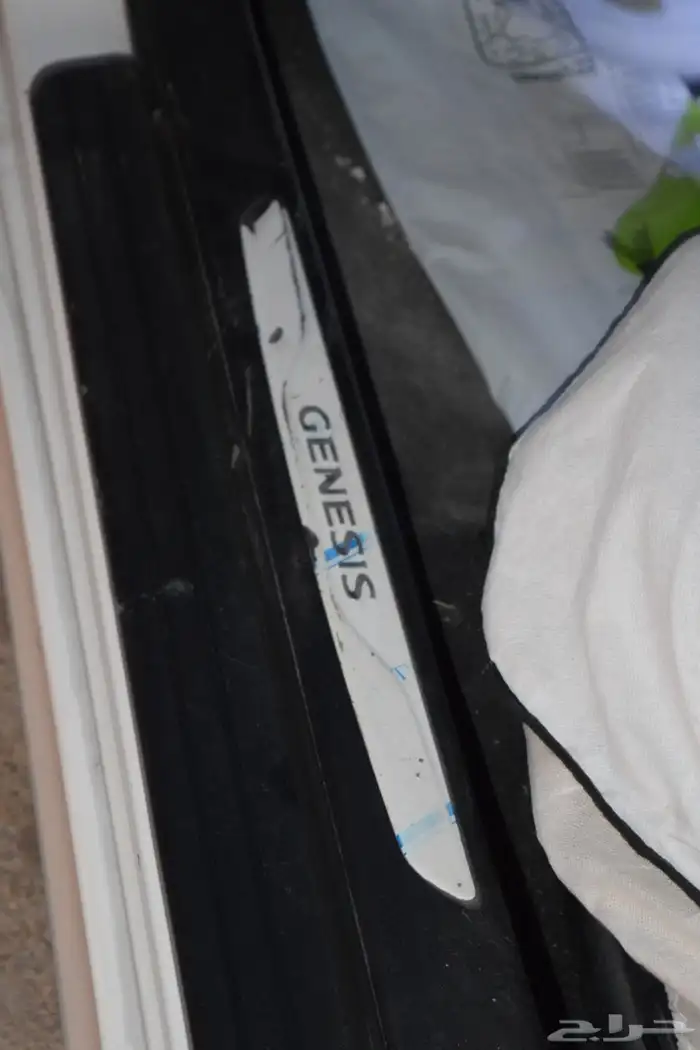 جينسس كوبيه 2013 22