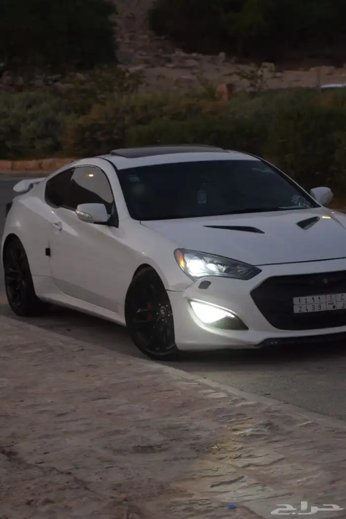 جينسس كوبيه 2013 3