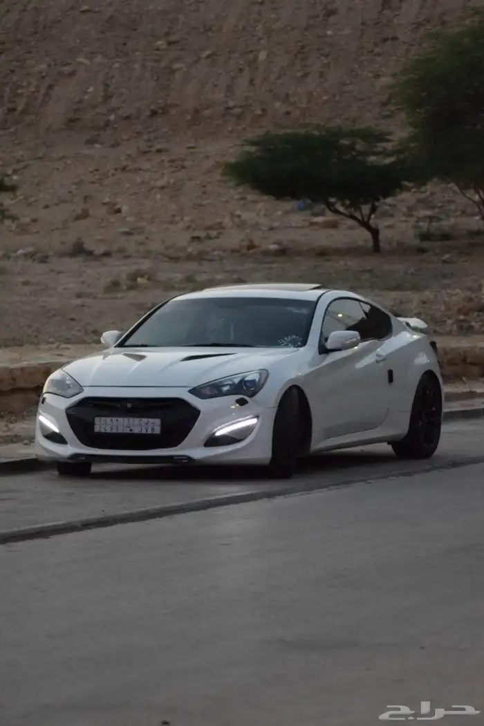 جينسس كوبيه 2013 1