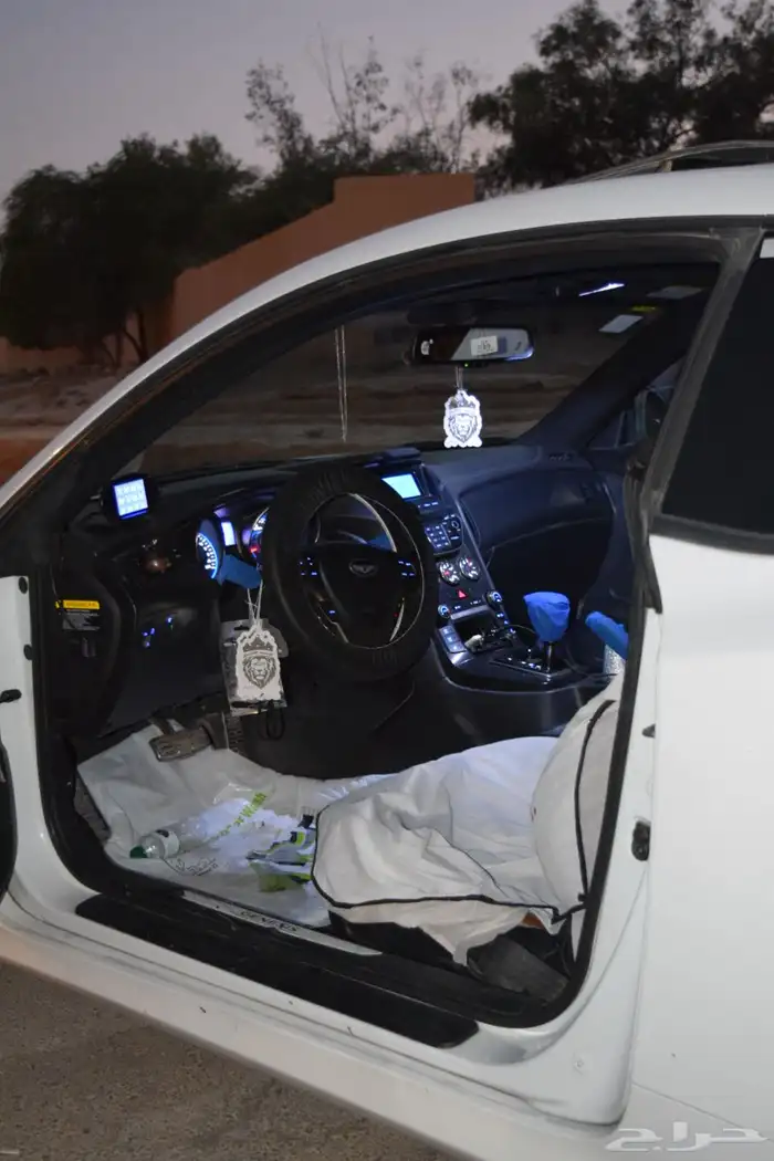 جينسس كوبيه 2013 18