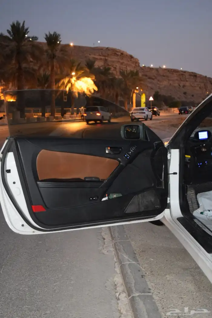 جينسس كوبيه 2013 17