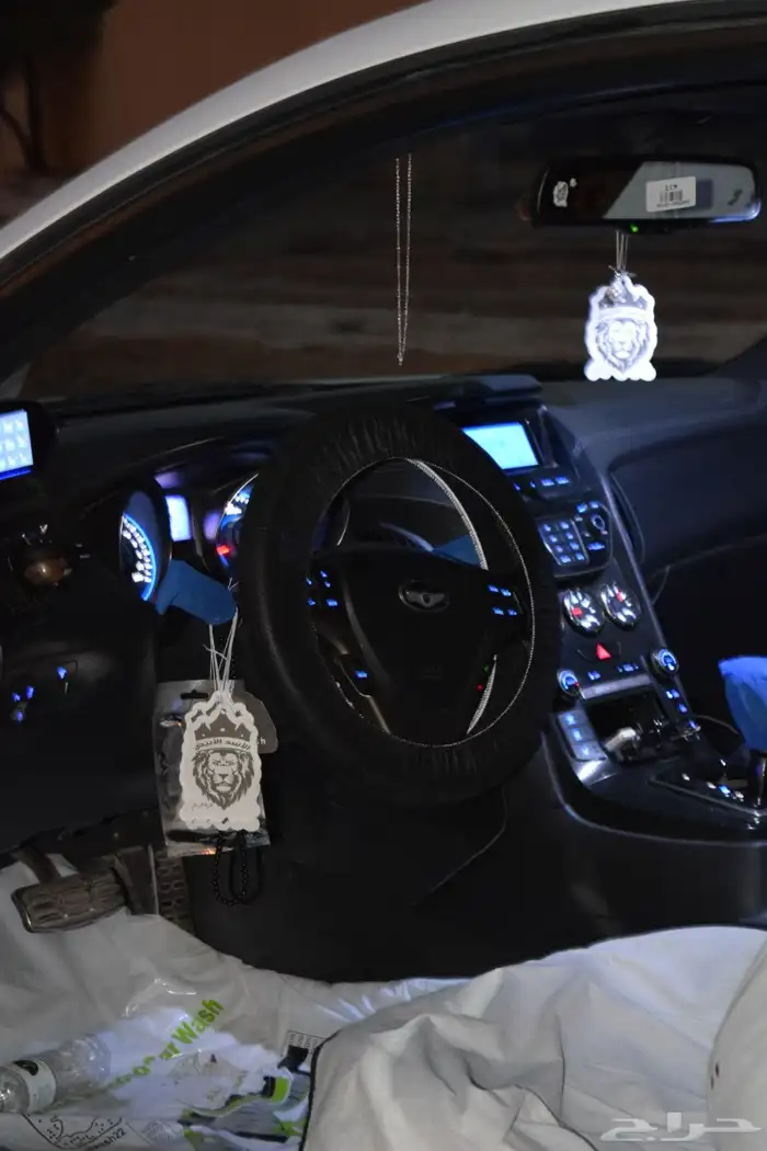 جينسس كوبيه 2013 19