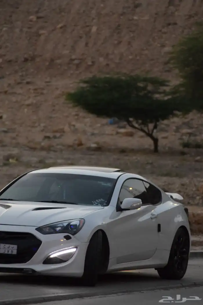 جينسس كوبيه 2013 6