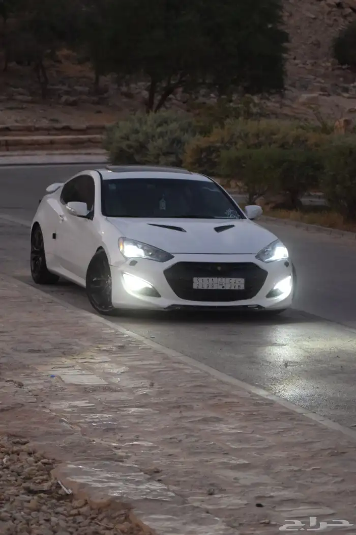 جينسس كوبيه 2013 5