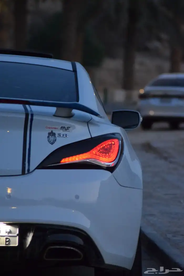 جينسس كوبيه 2013 9