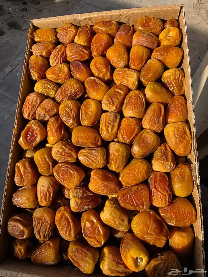 تمر سكري فاخر 0