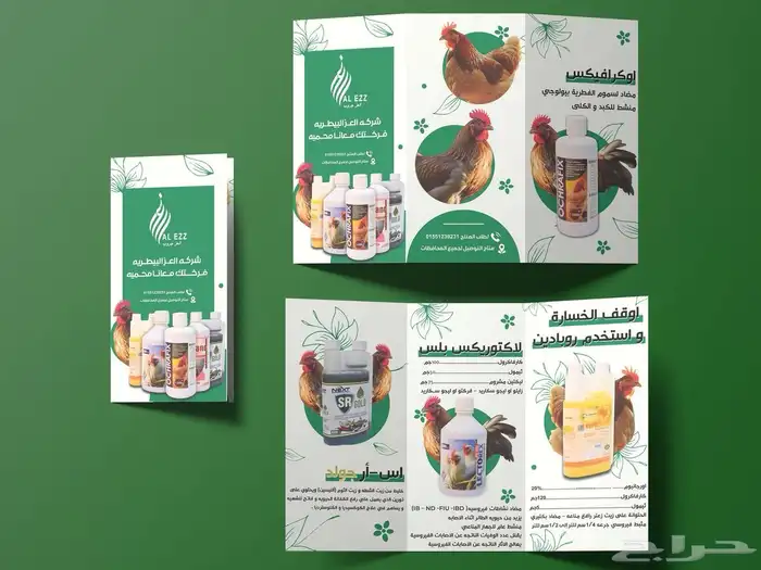 طباعة بروشور تصميم بروشورات 10