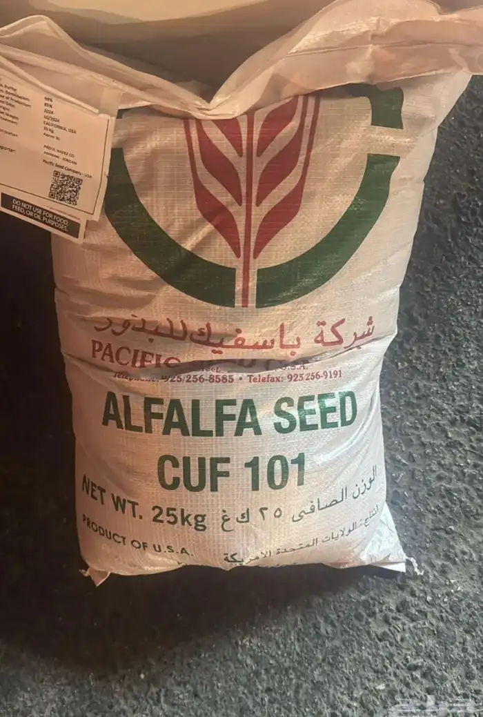 برسيم بيع بالكيلو 100 ريال 0