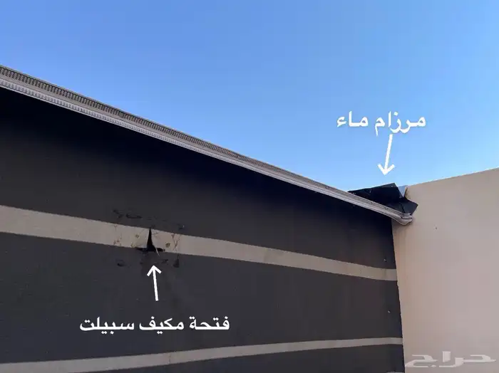 بيت شعر ملكي 0